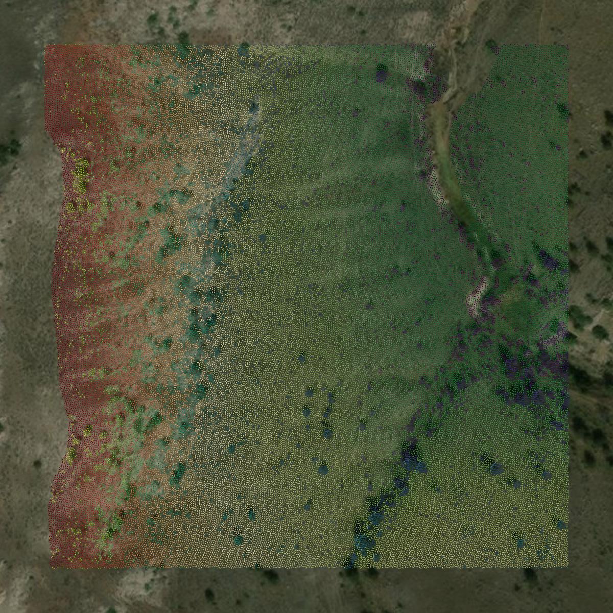 This image shows a LiDAR point cloud in Broadwater County created using GIS data in Equator.