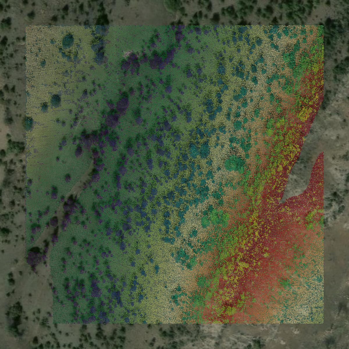 This image shows a LiDAR point cloud in Broadwater County created using GIS data in Equator.