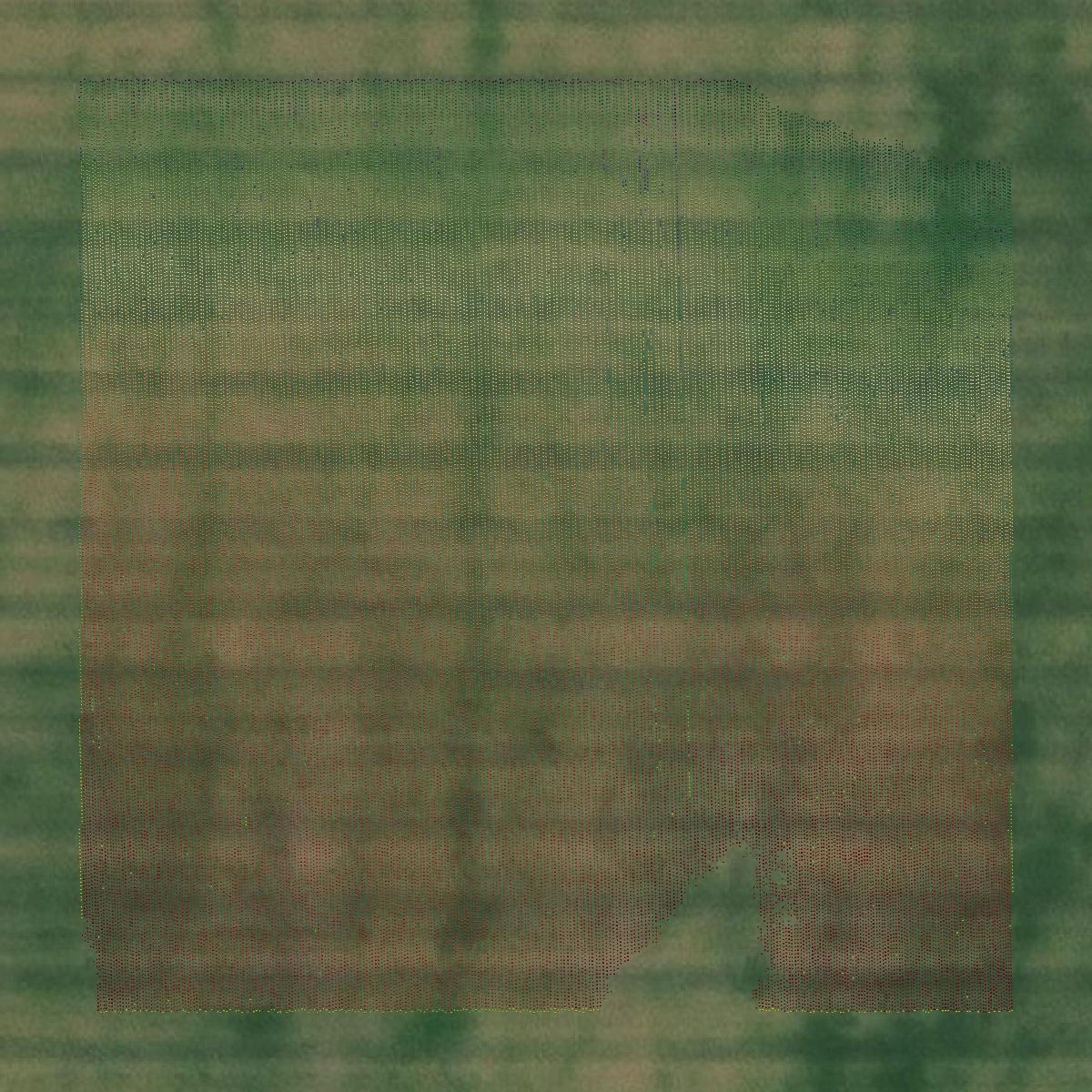 This image shows a LiDAR point cloud in Cascade County created using GIS data in Equator.