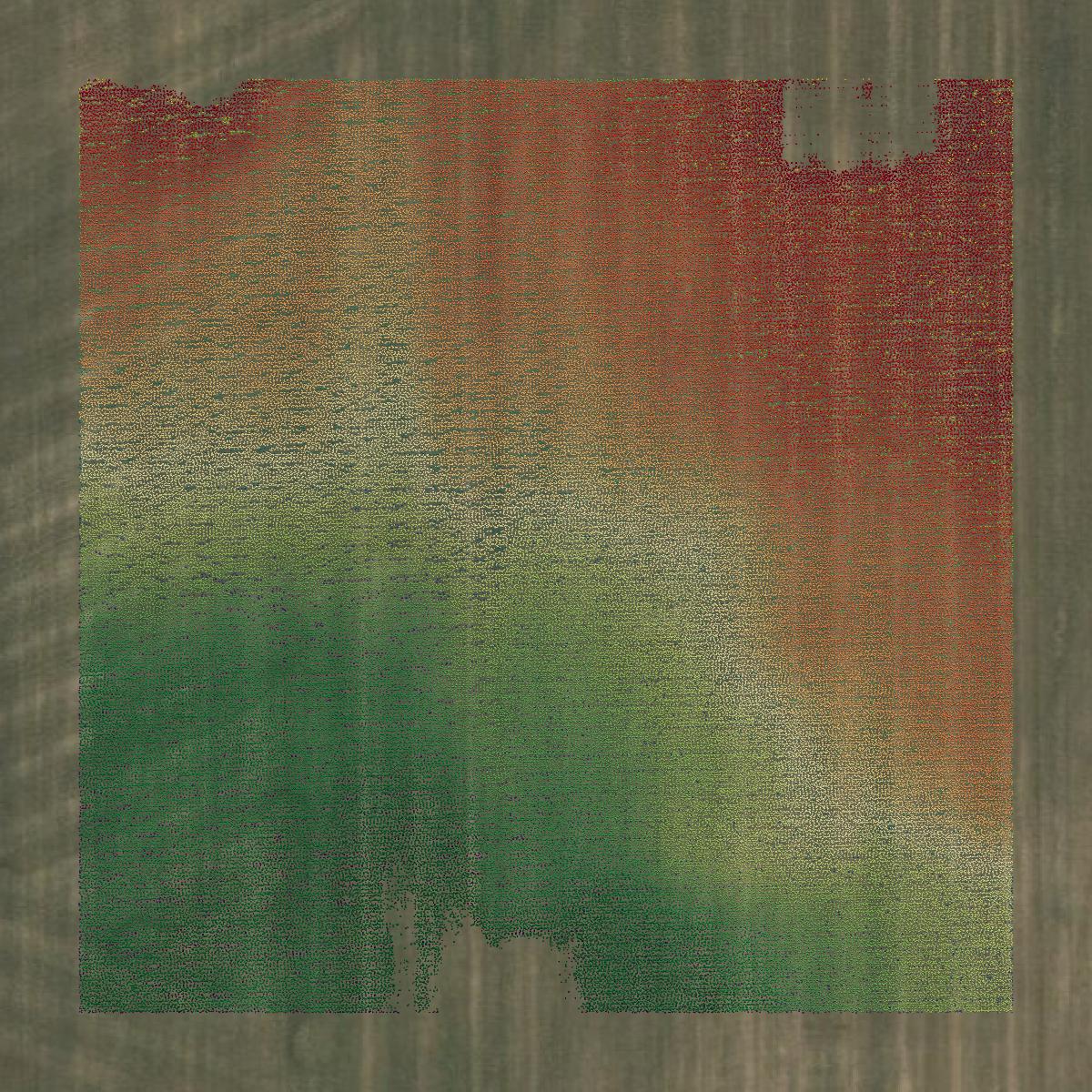 This image shows a LiDAR point cloud in Chouteau County created using GIS data in Equator.