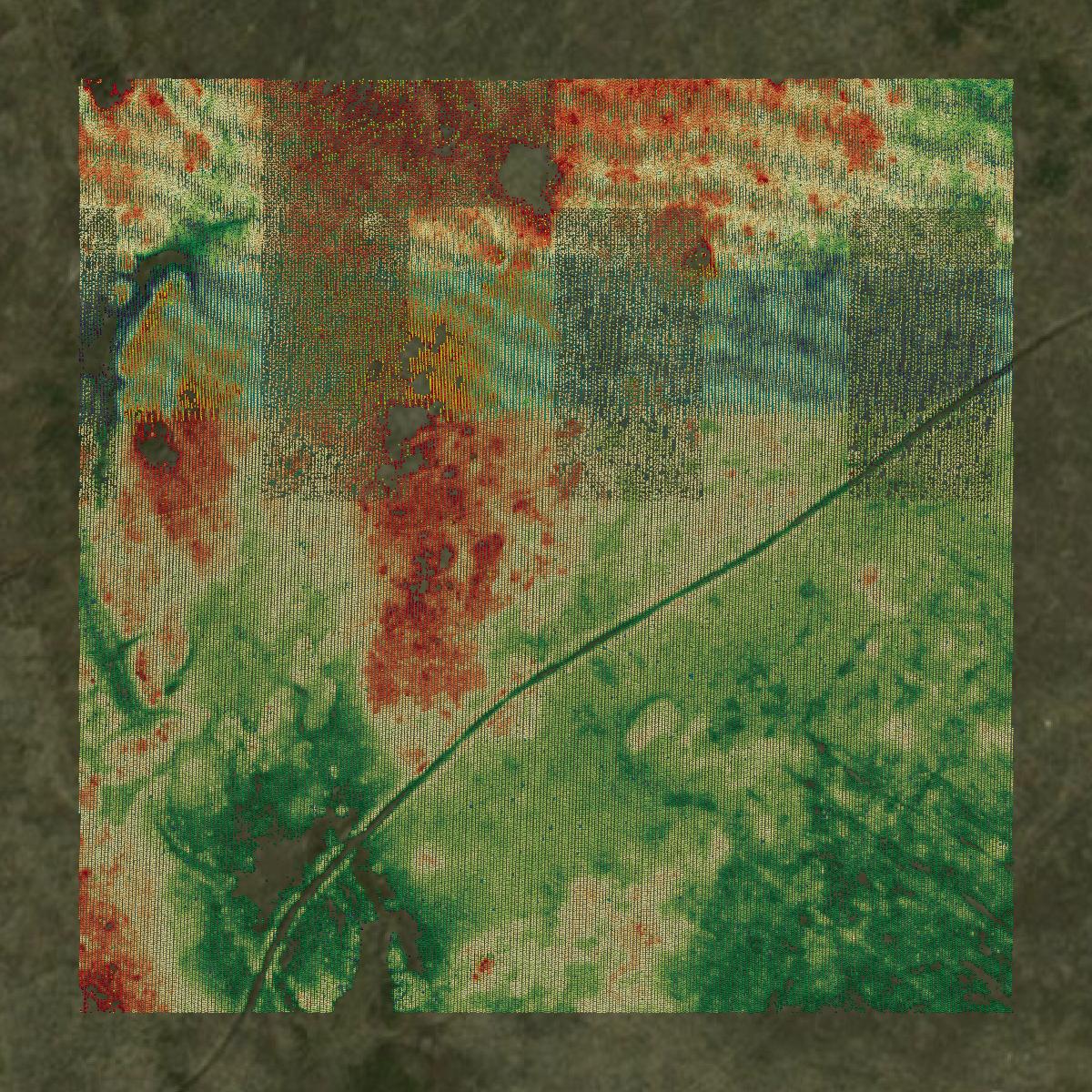 This image shows a LiDAR point cloud in Daniels County created using GIS data in Equator.