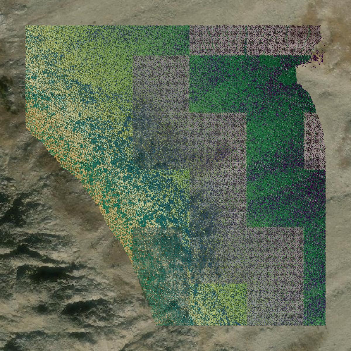 This image shows a LiDAR point cloud in Deer Lodge County created using GIS data in Equator.