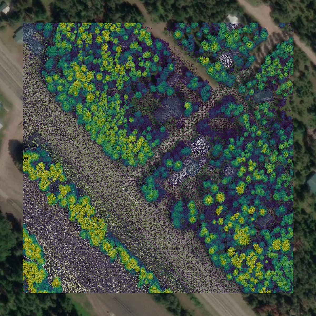 This image shows a LiDAR point cloud in Flathead County created using GIS data in Equator.