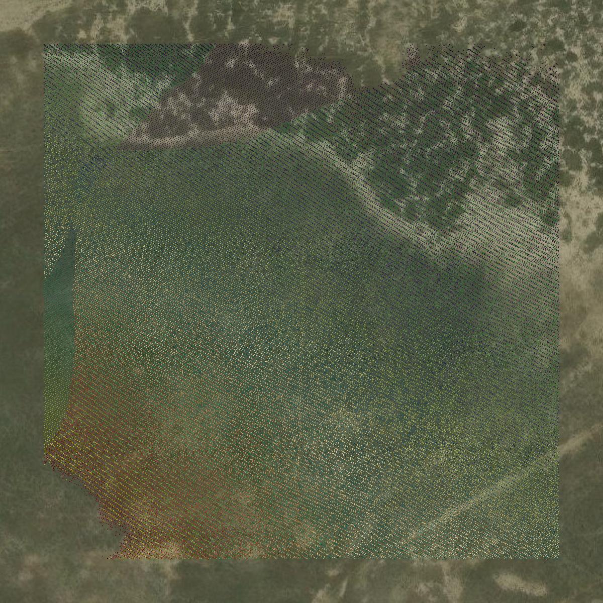 This image shows a LiDAR point cloud in Golden Valley County created using GIS data in Equator.