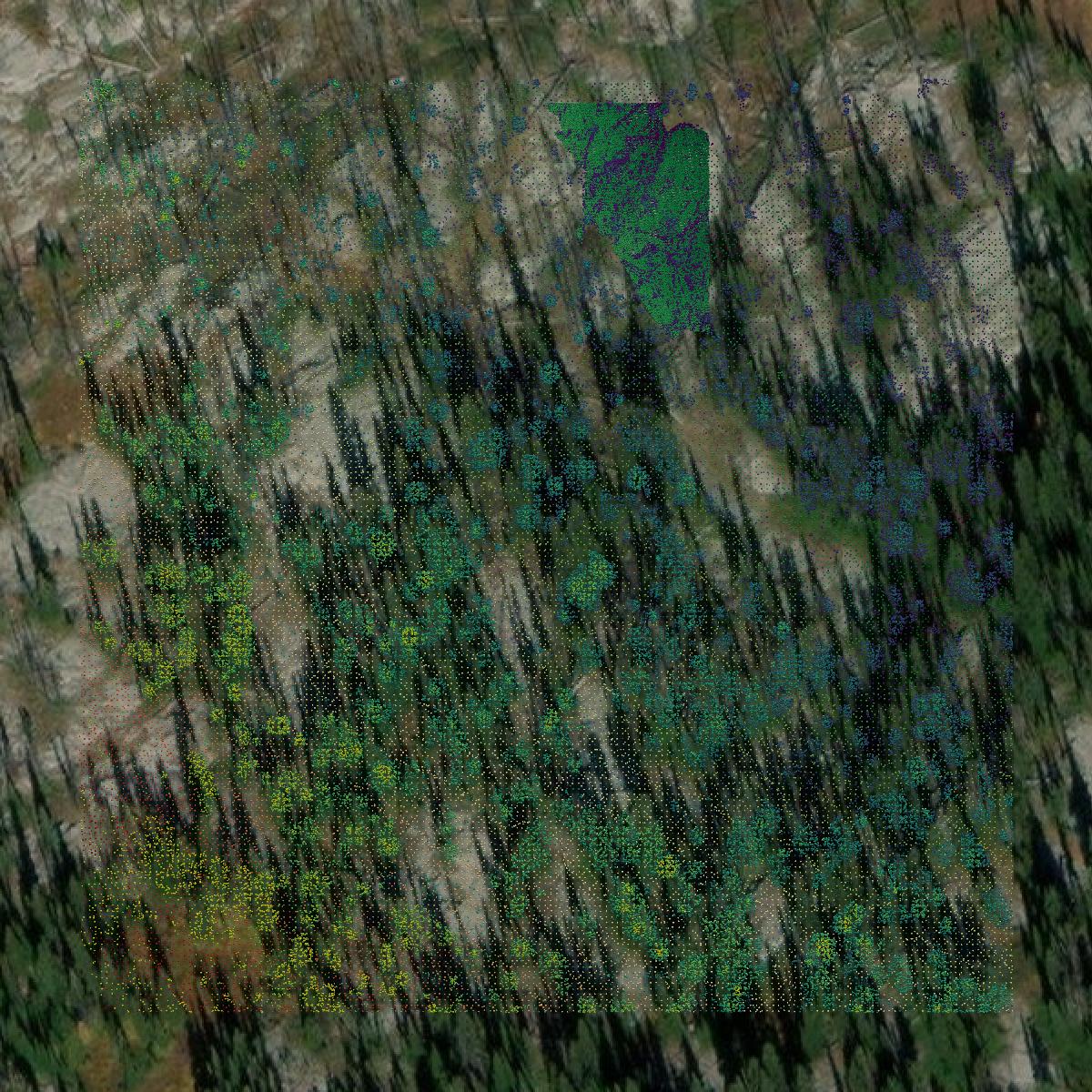 This image shows a LiDAR point cloud in Granite County created using GIS data in Equator.