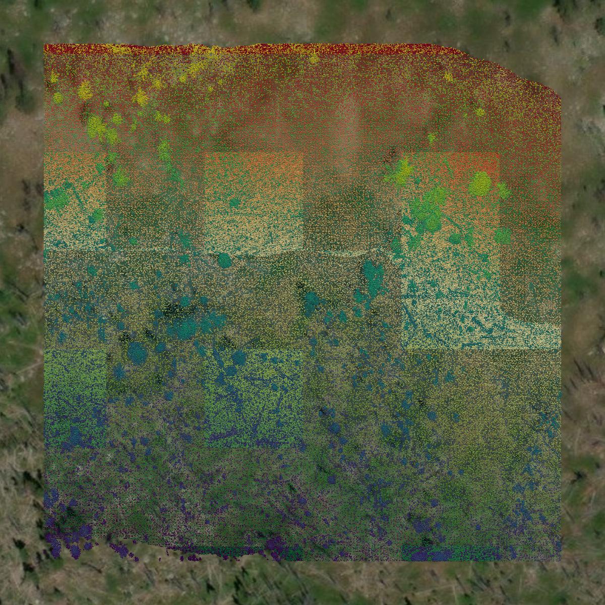 This image shows a LiDAR point cloud in Granite County created using GIS data in Equator.