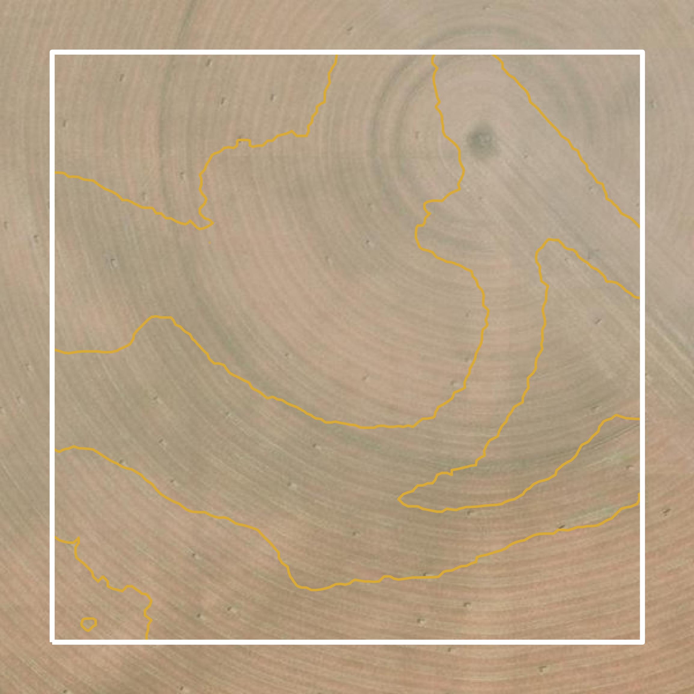 This image shows a contour map in Lake County created using GIS data in Equator.