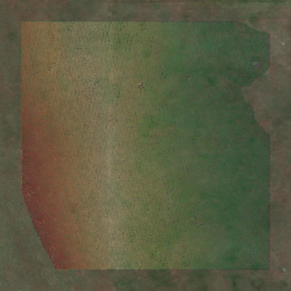 This image shows a LiDAR point cloud in Lake County created using GIS data in Equator.