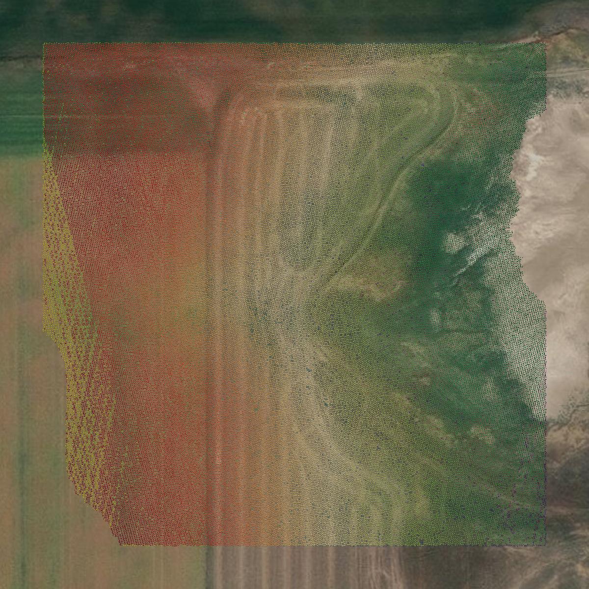 This image shows a LiDAR point cloud in Liberty County created using GIS data in Equator.