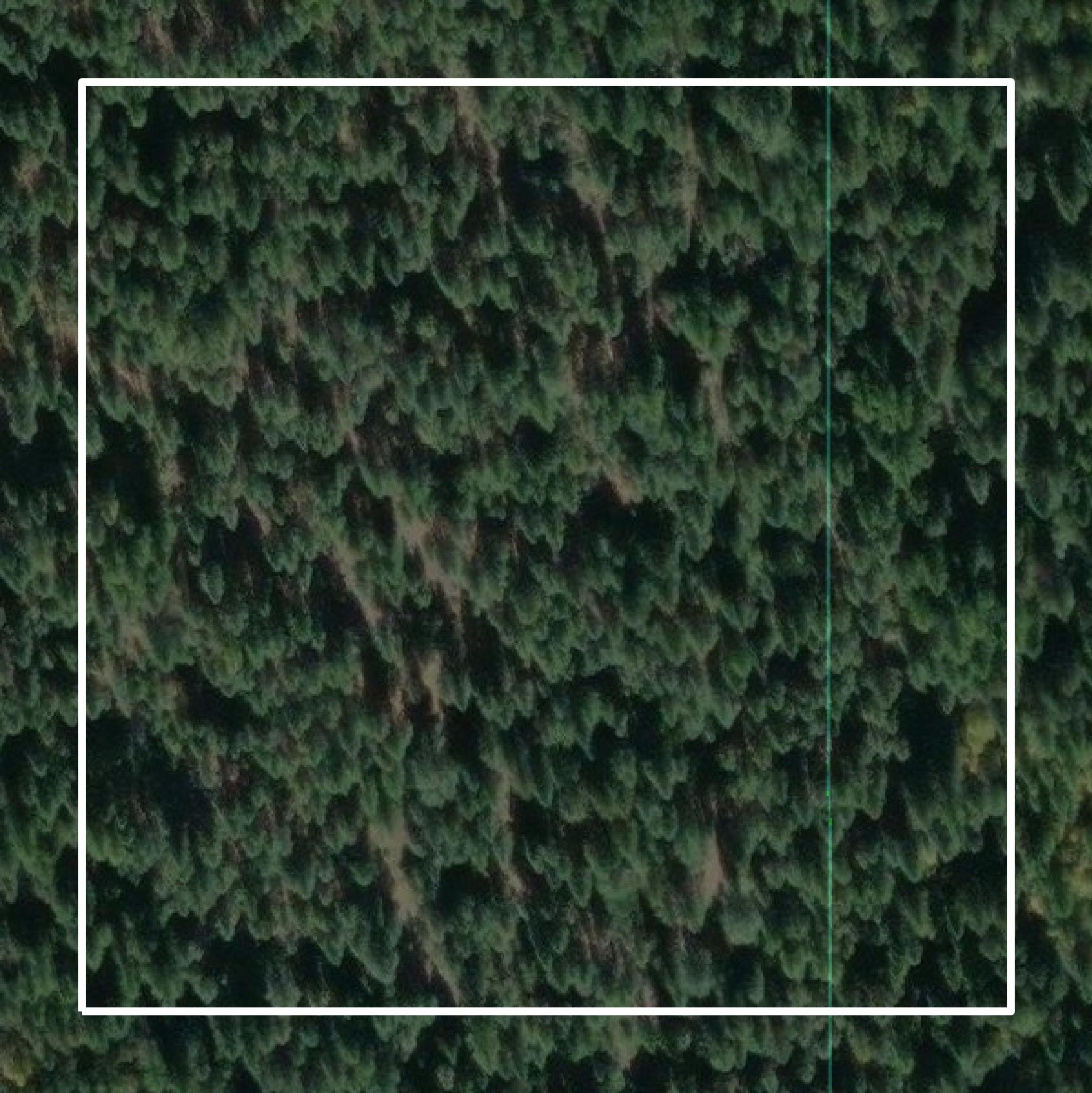 This image shows parcel and building data in Lincoln County created using GIS data in Equator.