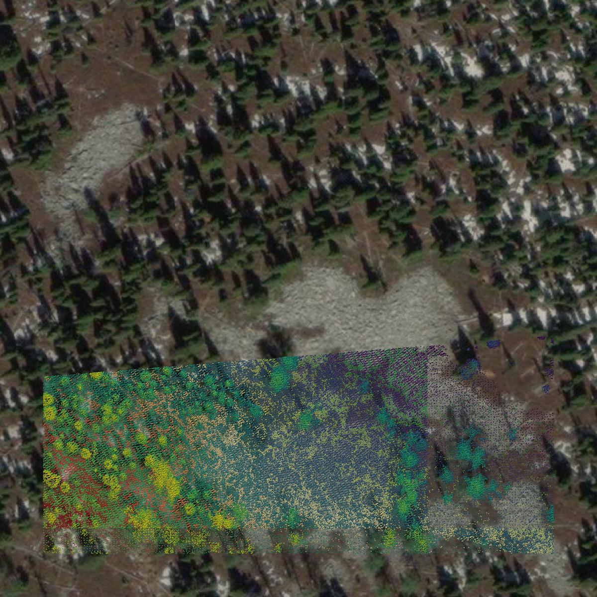 This image shows a LiDAR point cloud in Lincoln County created using GIS data in Equator.