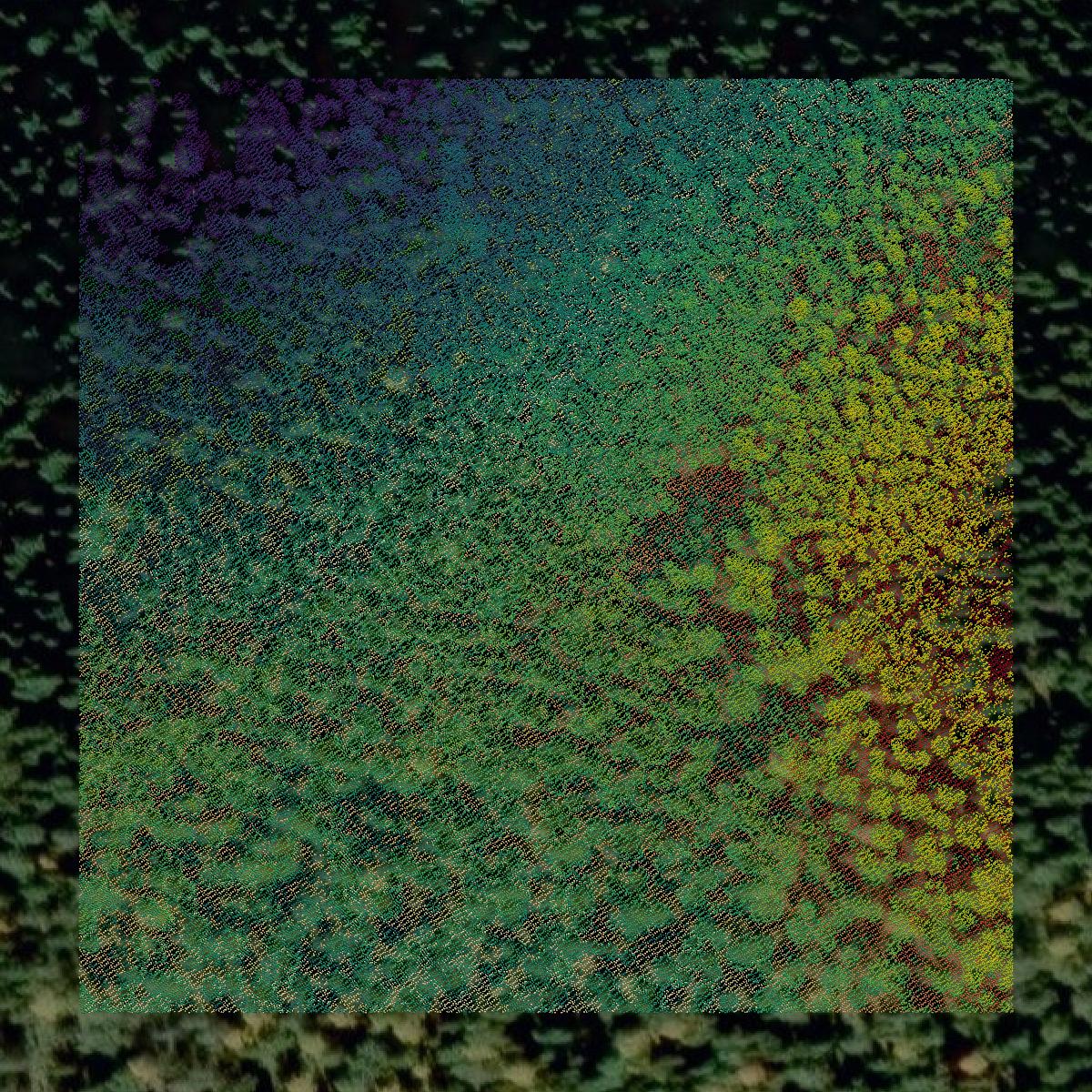This image shows a LiDAR point cloud in Lincoln County created using GIS data in Equator.
