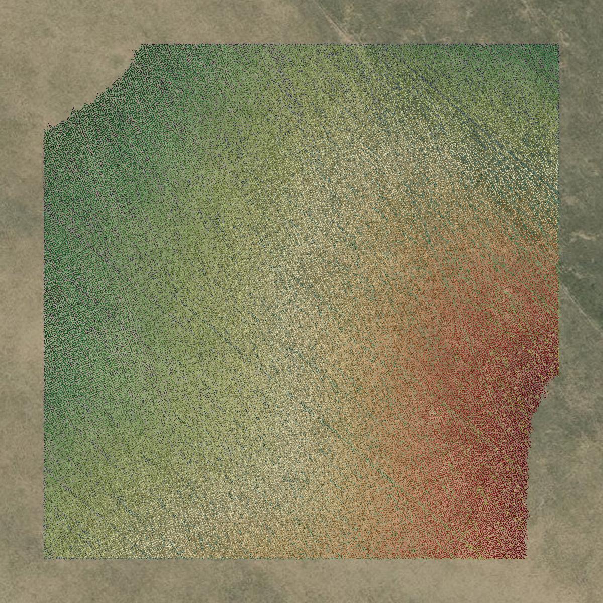 This image shows a LiDAR point cloud in Madison County created using GIS data in Equator.