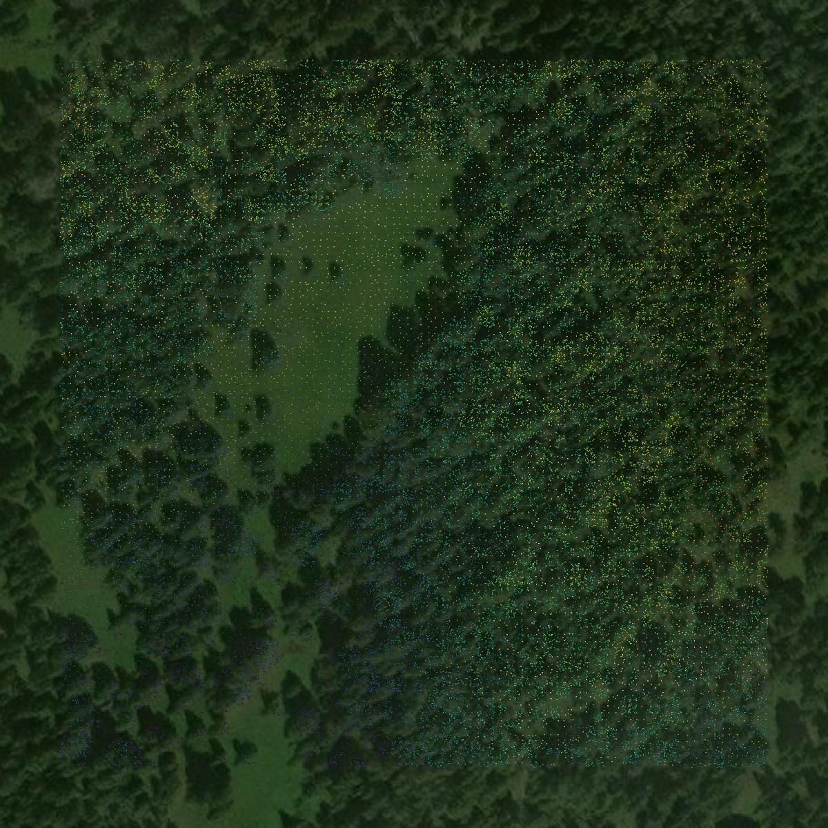 This image shows a LiDAR point cloud in Meagher County created using GIS data in Equator.