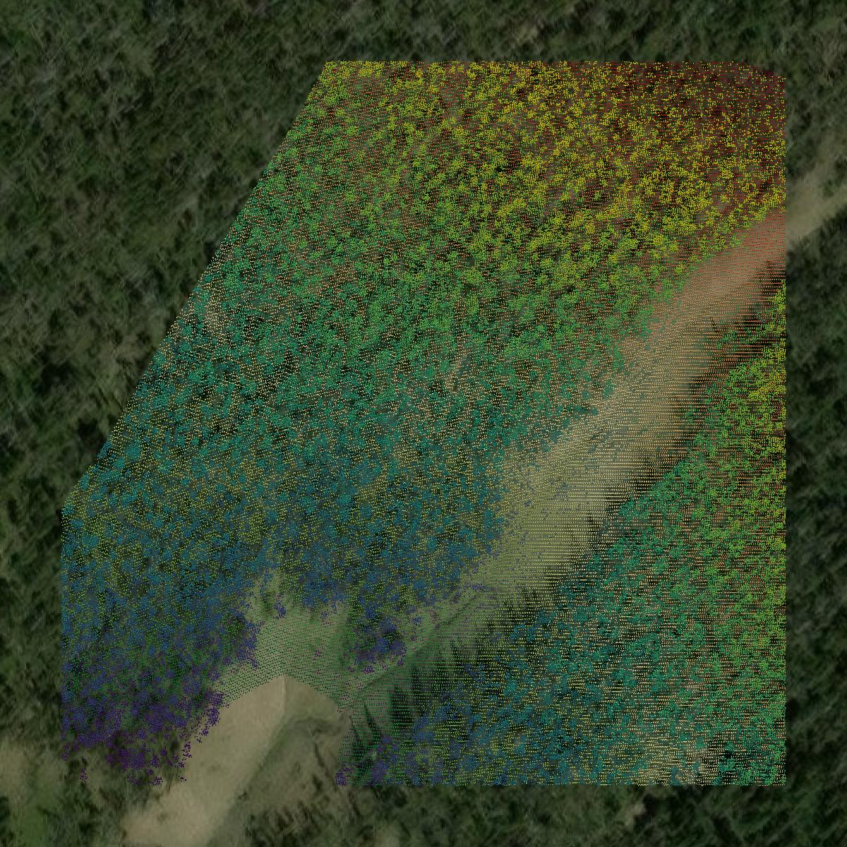 This image shows a LiDAR point cloud in Meagher County created using GIS data in Equator.