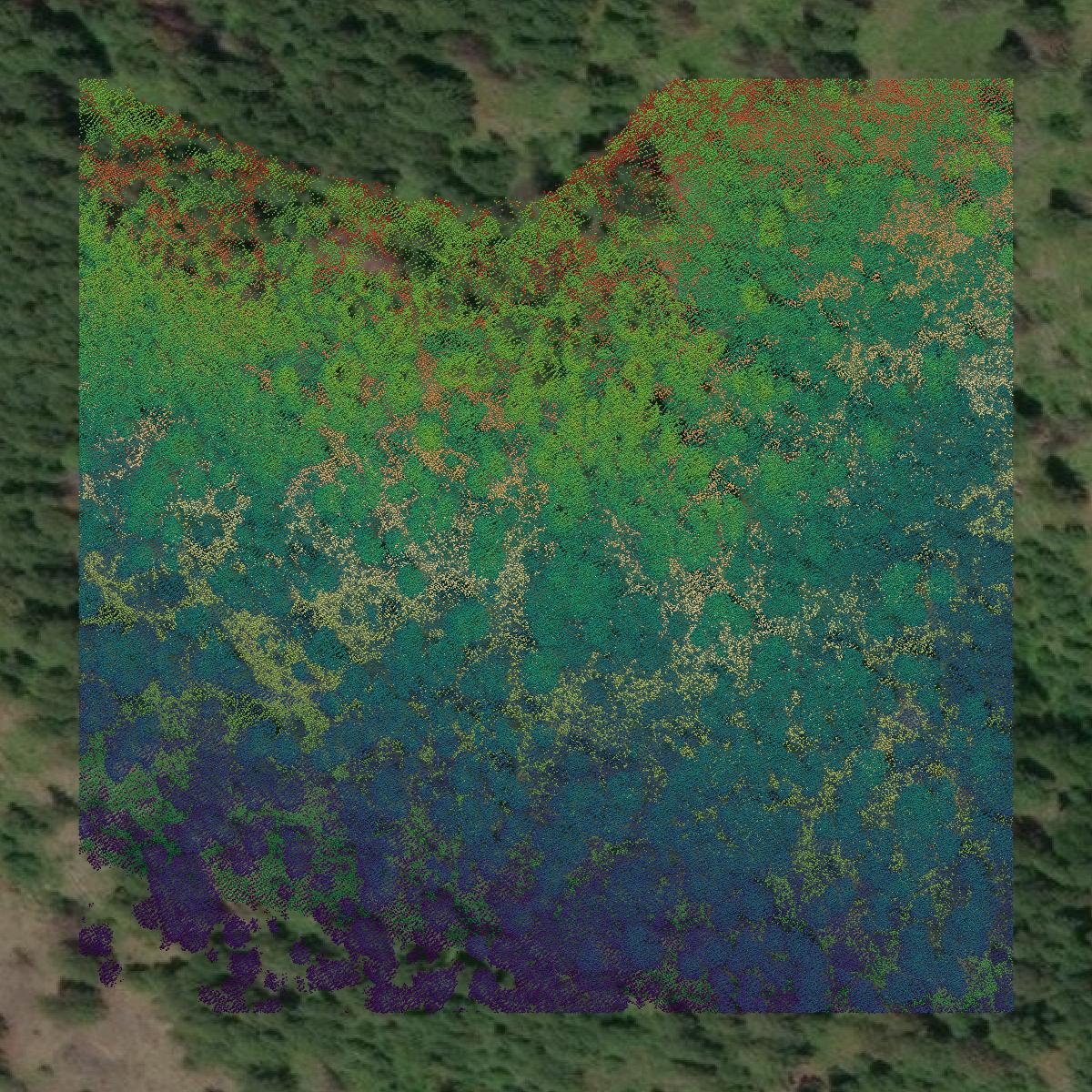This image shows a LiDAR point cloud in Mineral County created using GIS data in Equator.