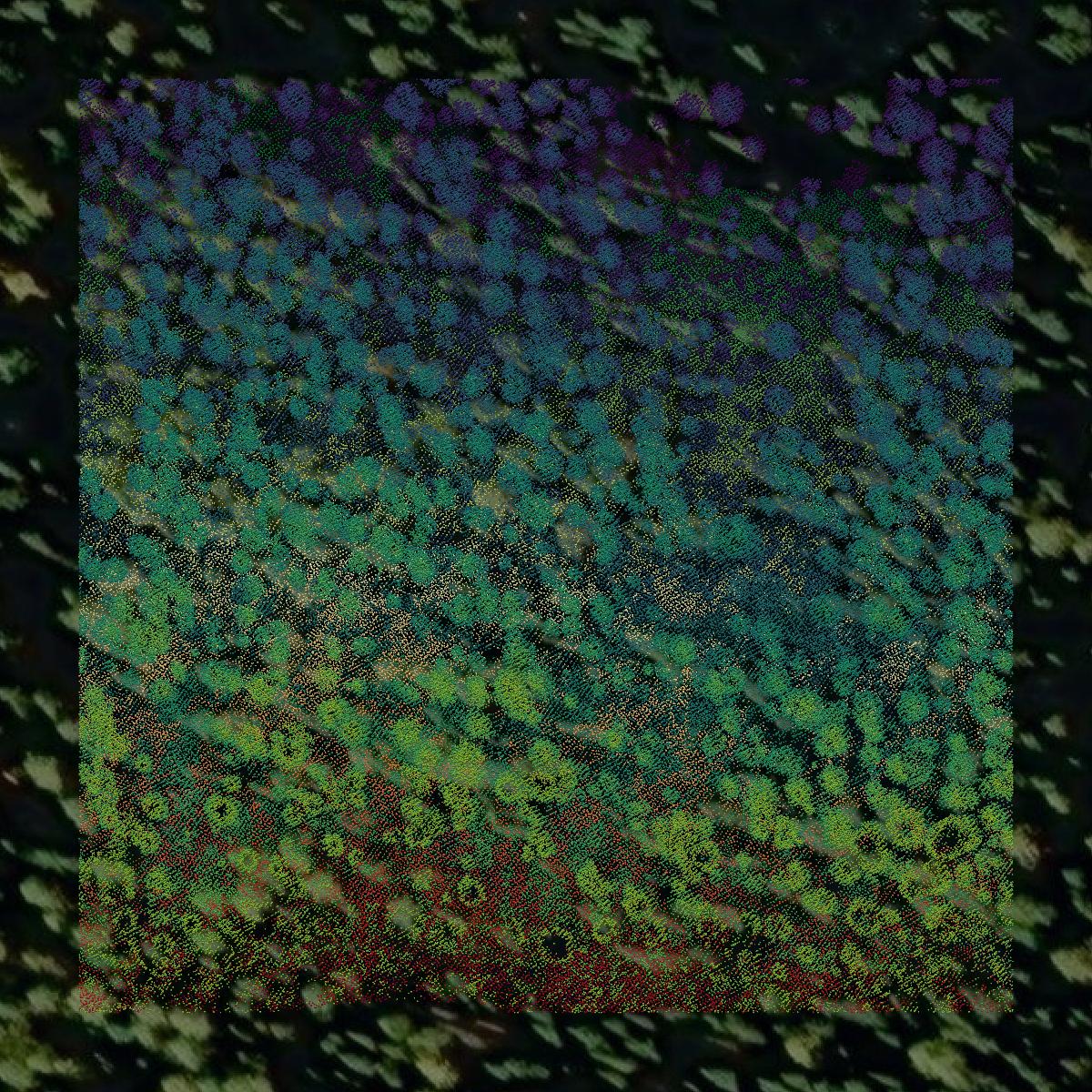 This image shows a LiDAR point cloud in Mineral County created using GIS data in Equator.