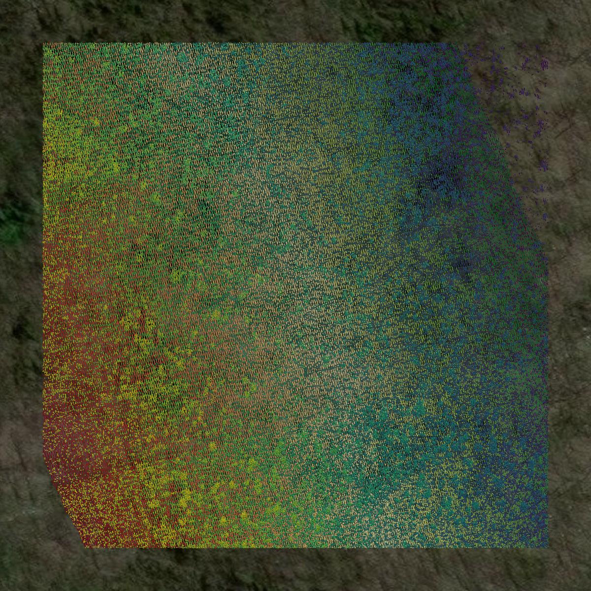 This image shows a LiDAR point cloud in Missoula County created using GIS data in Equator.