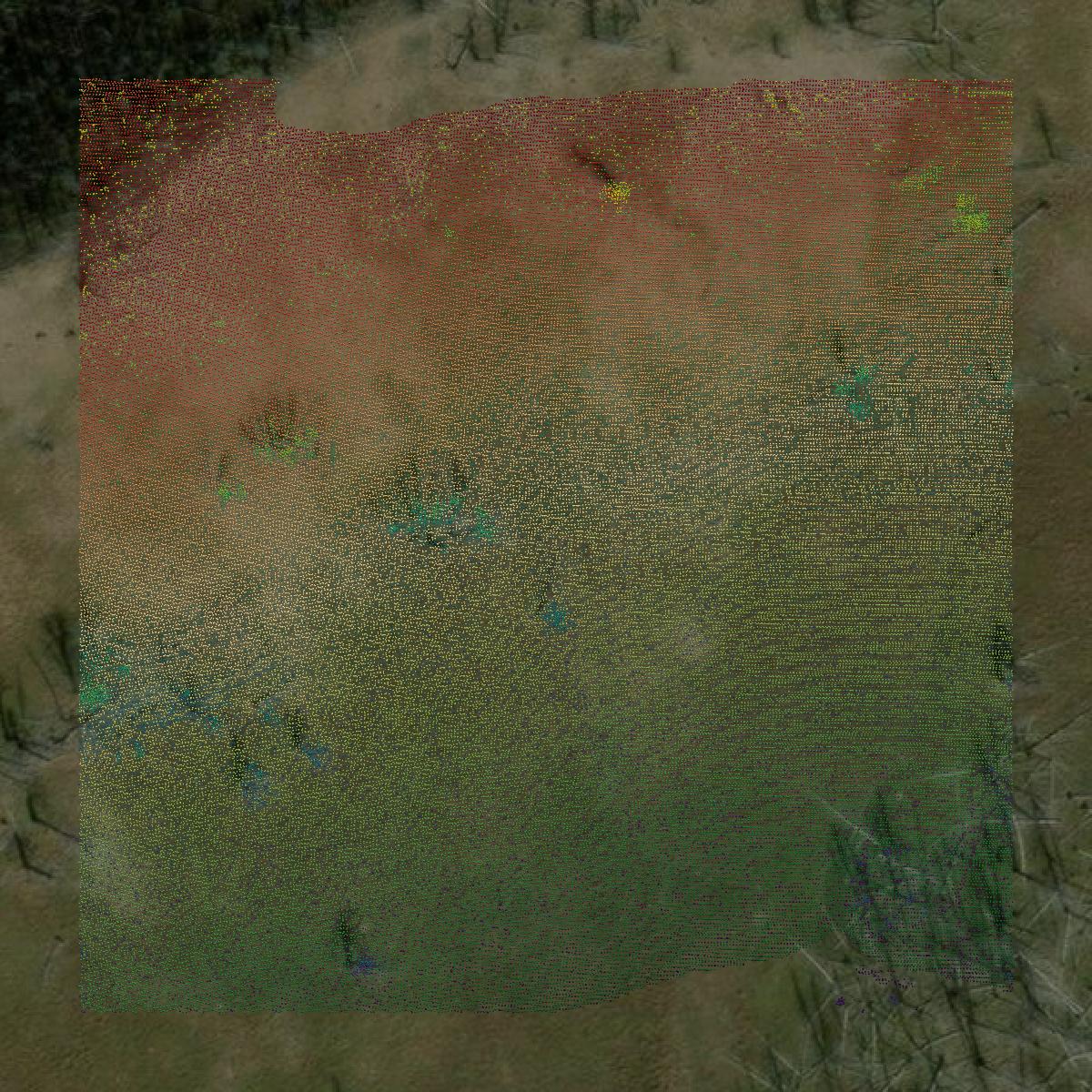 This image shows a LiDAR point cloud in Park County created using GIS data in Equator.
