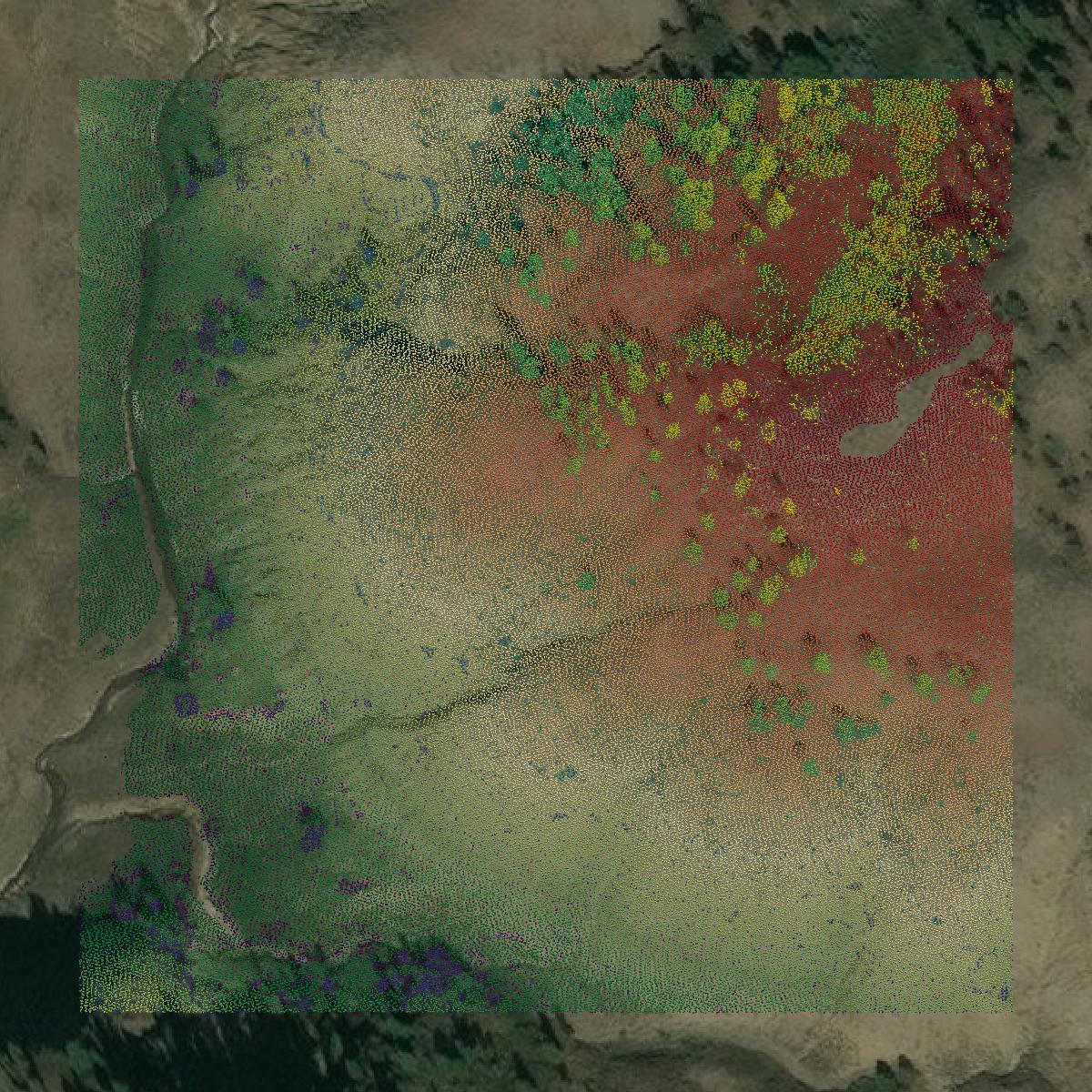 This image shows a LiDAR point cloud in Phillips County created using GIS data in Equator.