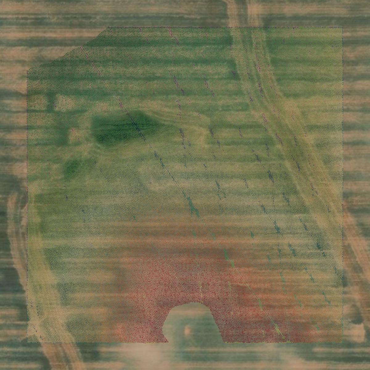 This image shows a LiDAR point cloud in Pondera County created using GIS data in Equator.