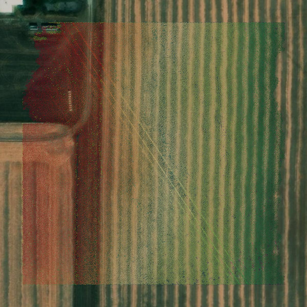 This image shows a LiDAR point cloud in Pondera County created using GIS data in Equator.