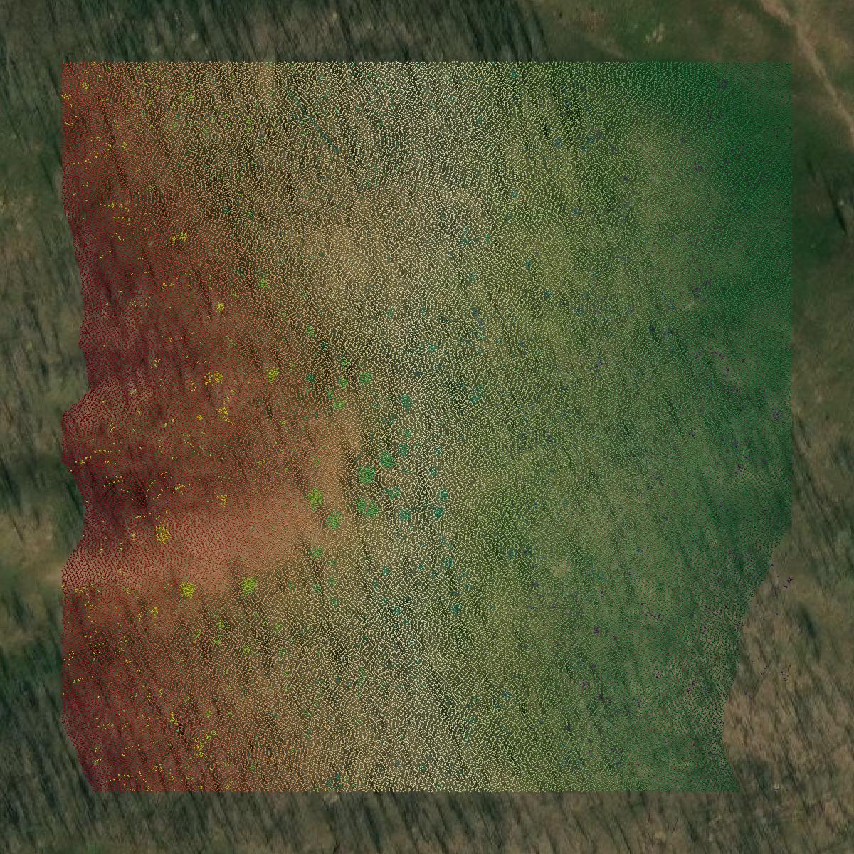 This image shows a LiDAR point cloud in Powell County created using GIS data in Equator.