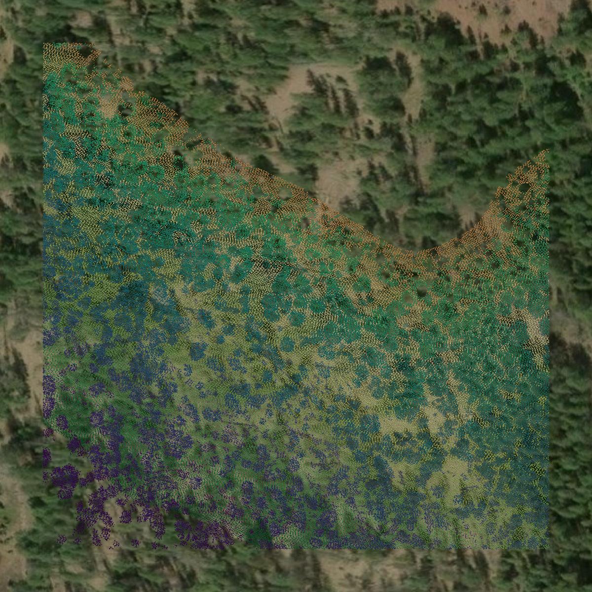 This image shows a LiDAR point cloud in Powell County created using GIS data in Equator.