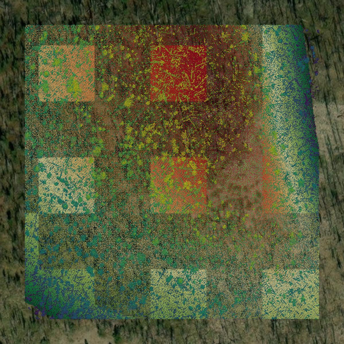 This image shows a LiDAR point cloud in Ravalli County created using GIS data in Equator.