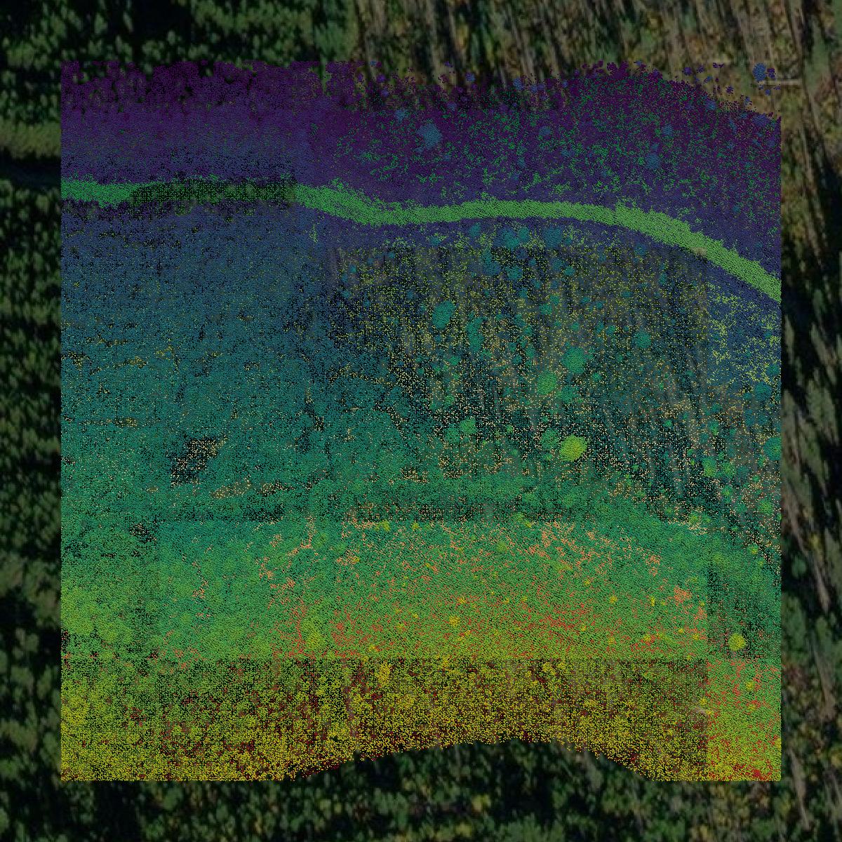 This image shows a LiDAR point cloud in Ravalli County created using GIS data in Equator.