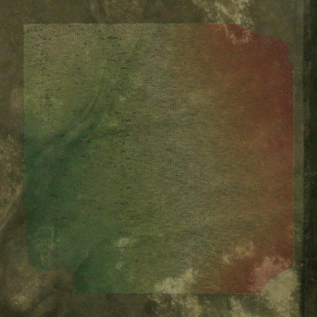 This image shows a LiDAR point cloud in Richland County created using GIS data in Equator.