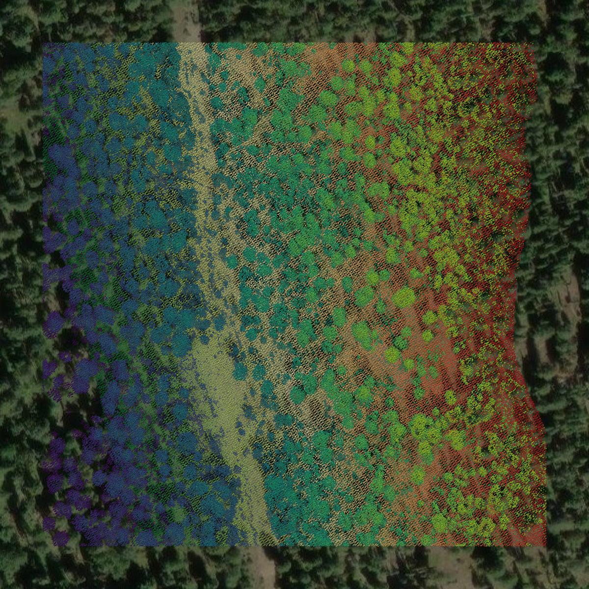 This image shows a LiDAR point cloud in Sanders County created using GIS data in Equator.