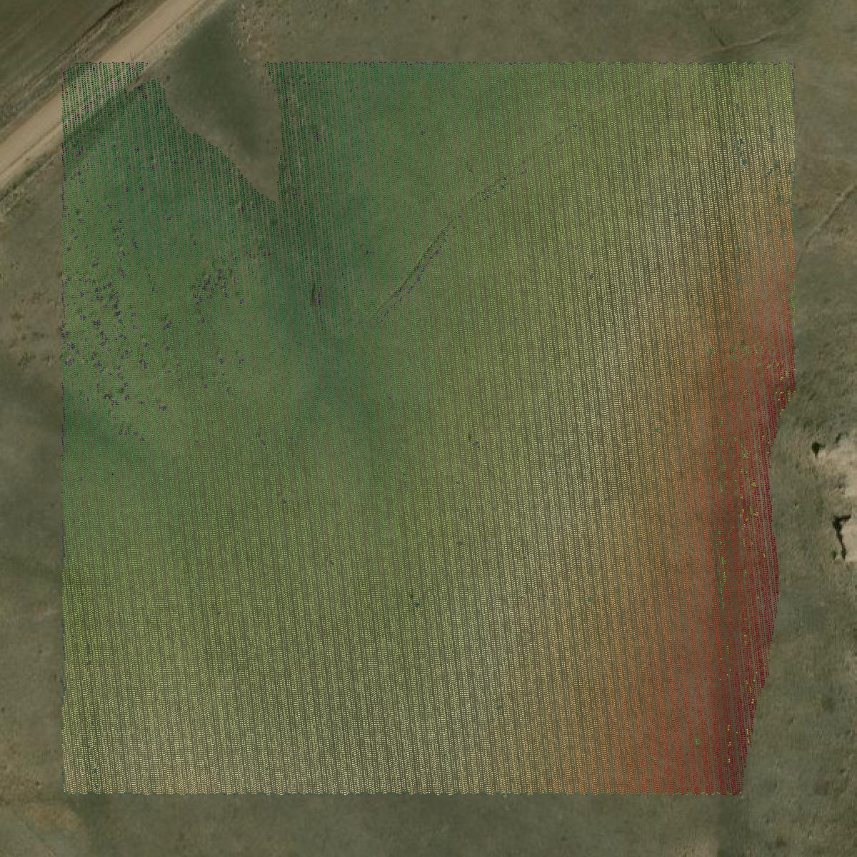 This image shows a LiDAR point cloud in Banner County created using GIS data in Equator.