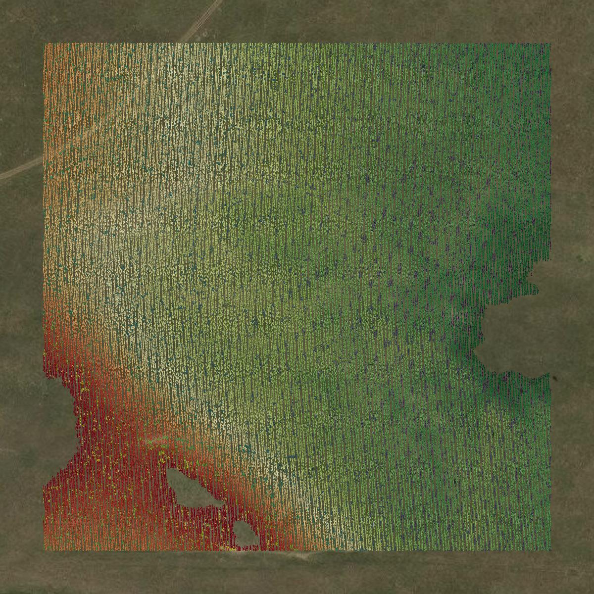 This image shows a LiDAR point cloud in Banner County created using GIS data in Equator.
