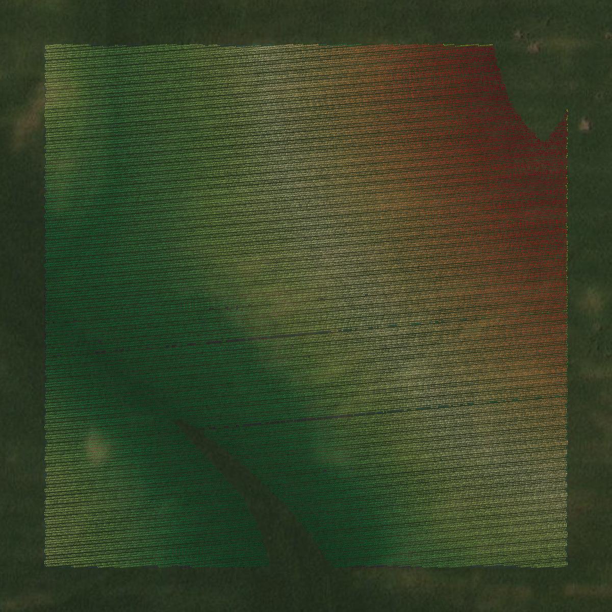 This image shows a LiDAR point cloud in Boone County created using GIS data in Equator.