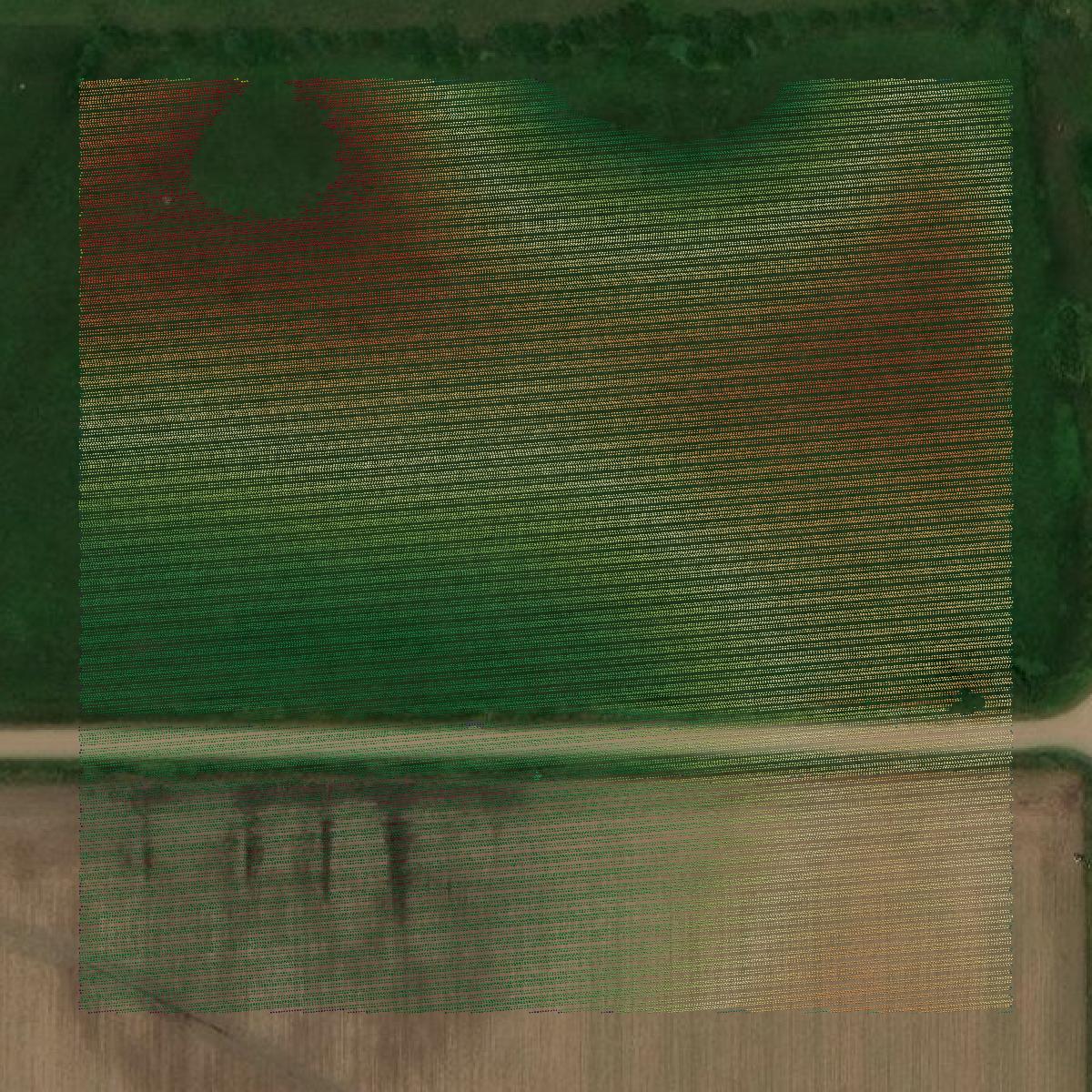 This image shows a LiDAR point cloud in Boone County created using GIS data in Equator.