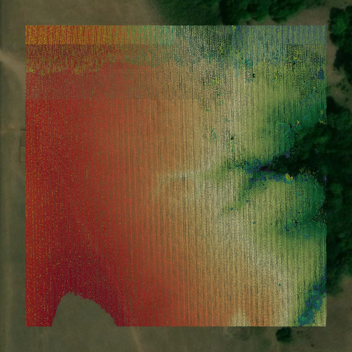 This image shows a LiDAR point cloud in Boyd County created using GIS data in Equator.
