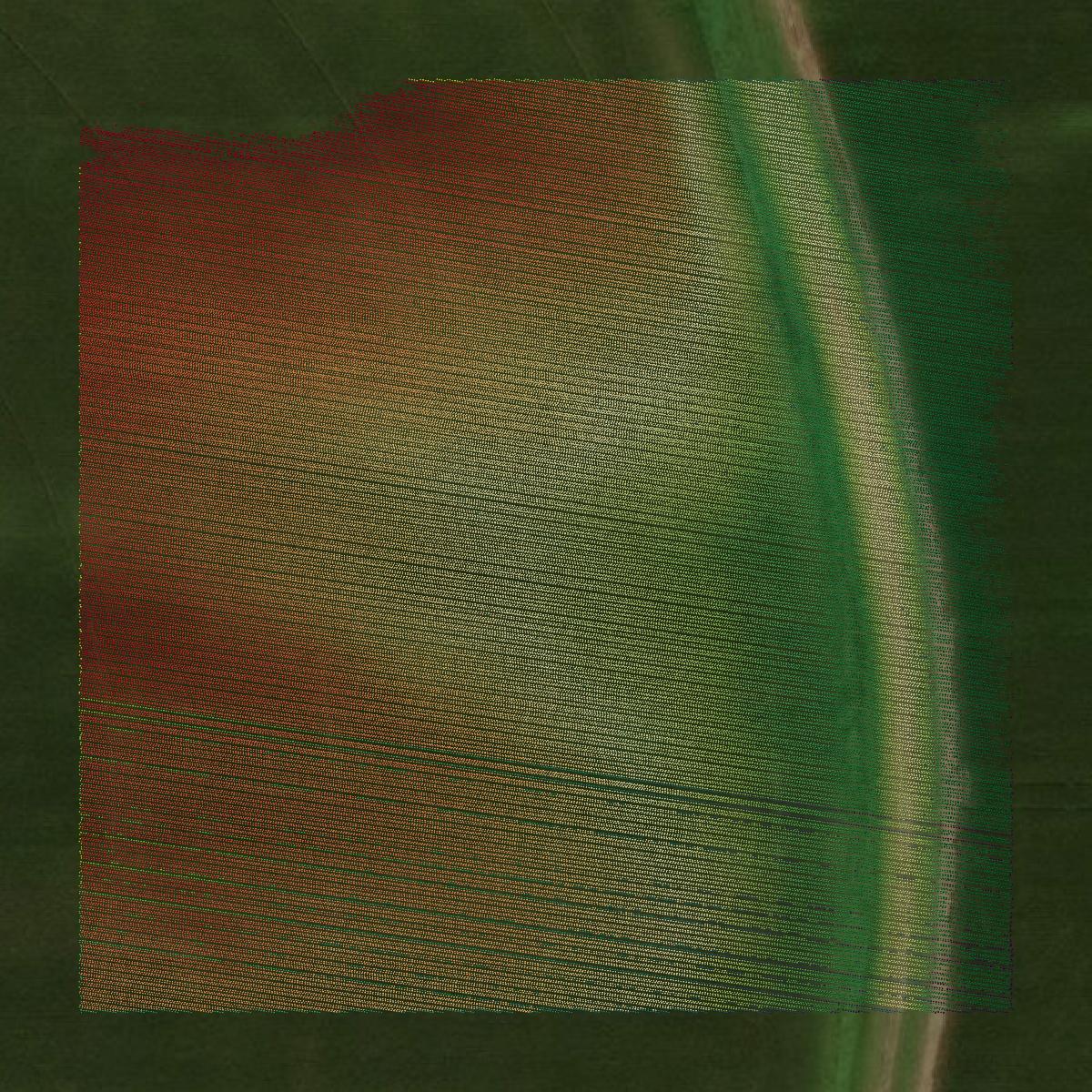 This image shows a LiDAR point cloud in Brown County created using GIS data in Equator.
