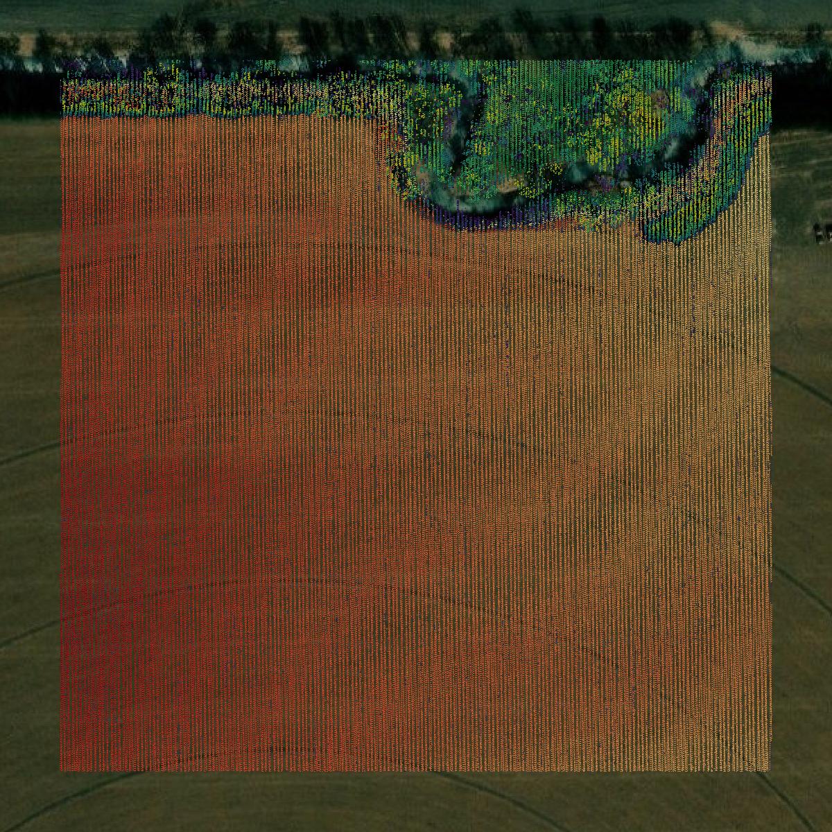 This image shows a LiDAR point cloud in Buffalo County created using GIS data in Equator.