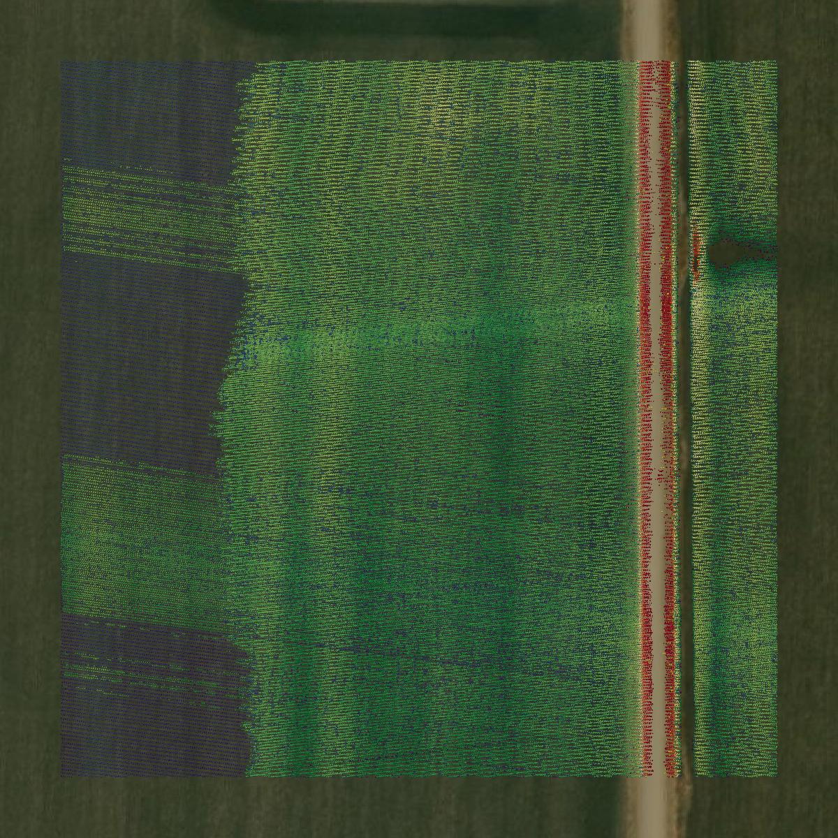 This image shows a LiDAR point cloud in Burt County created using GIS data in Equator.