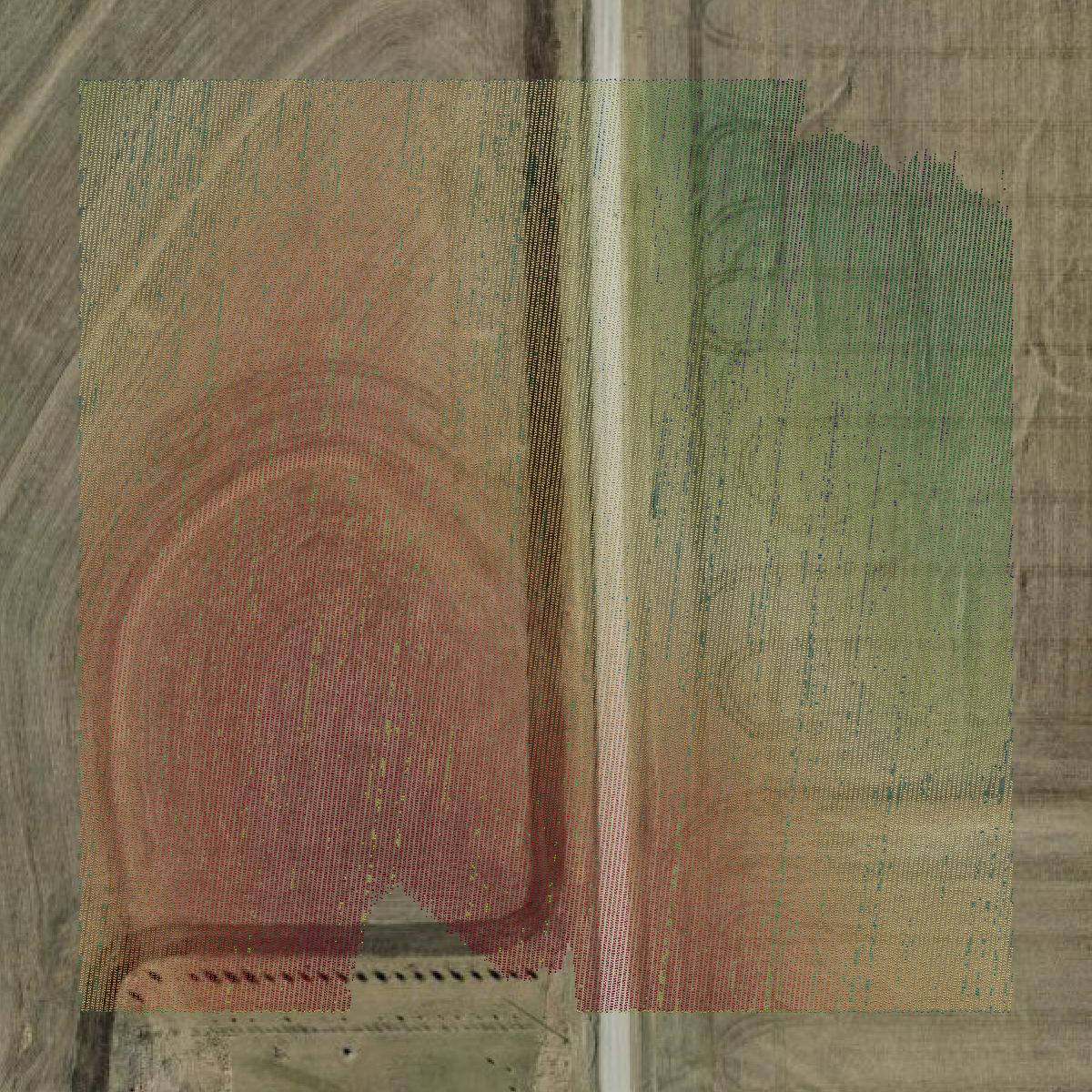 This image shows a LiDAR point cloud in Cass County created using GIS data in Equator.
