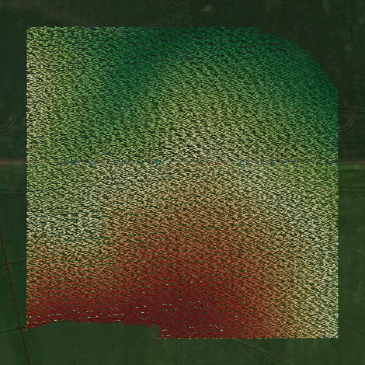 This image shows a LiDAR point cloud in Cedar County created using GIS data in Equator.