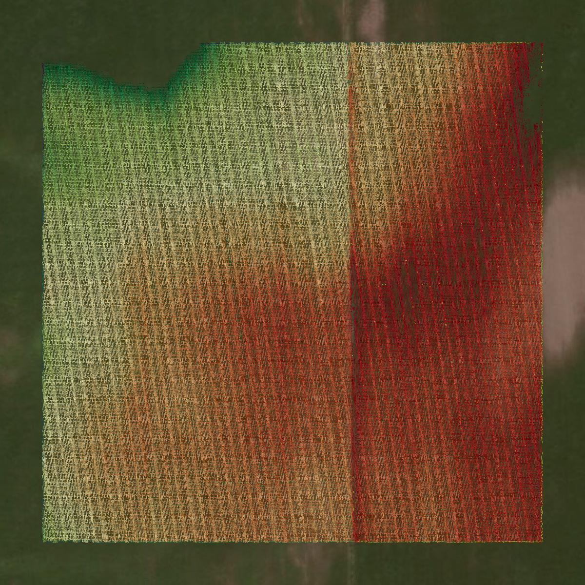 This image shows a LiDAR point cloud in Colfax County created using GIS data in Equator.