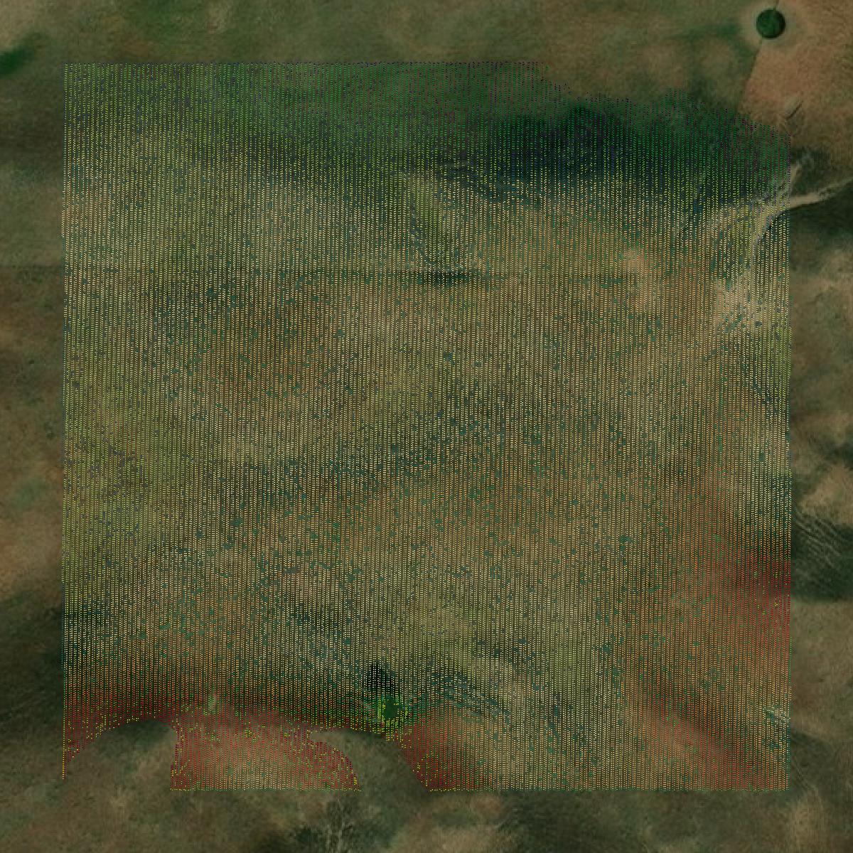 This image shows a LiDAR point cloud in Custer County created using GIS data in Equator.