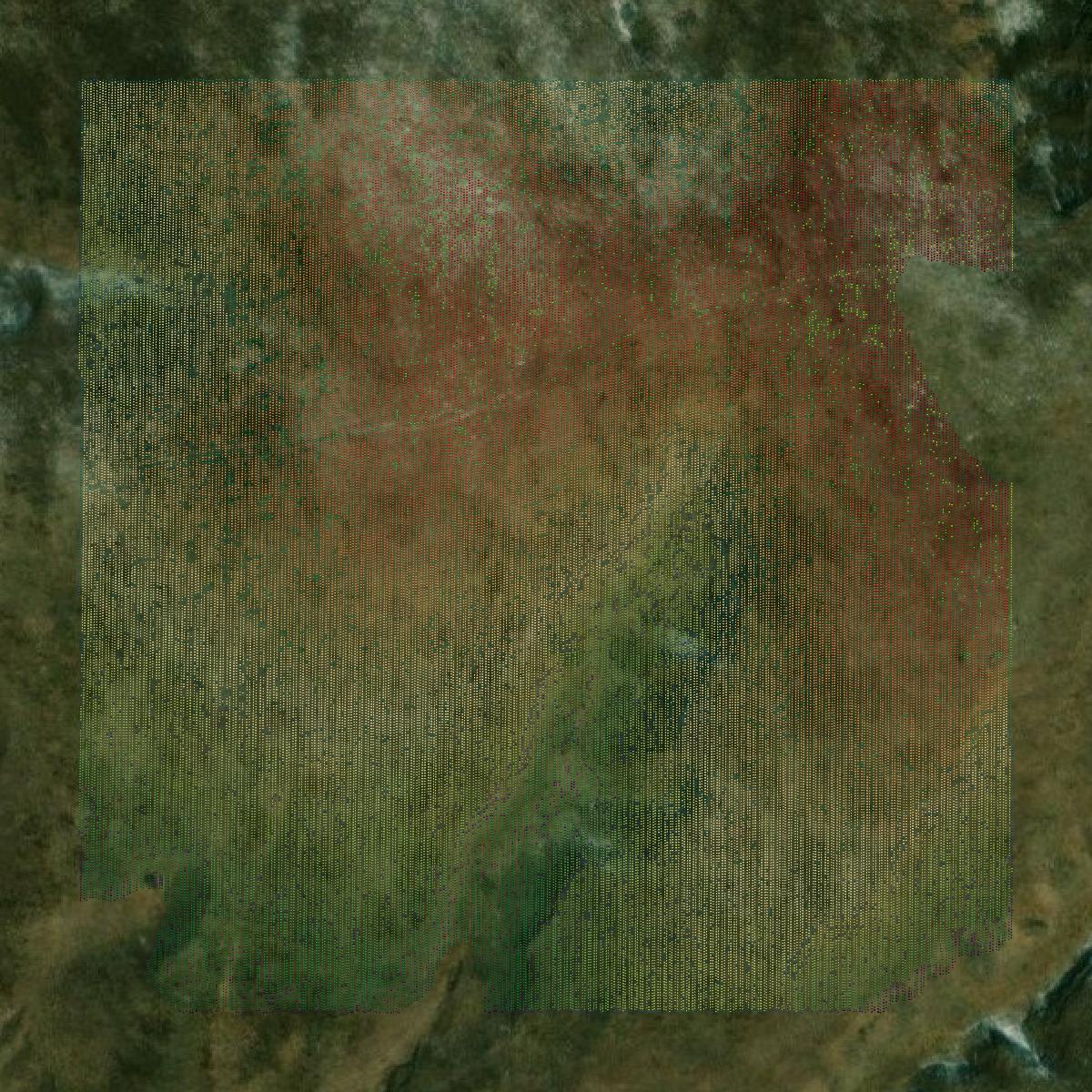 This image shows a LiDAR point cloud in Custer County created using GIS data in Equator.