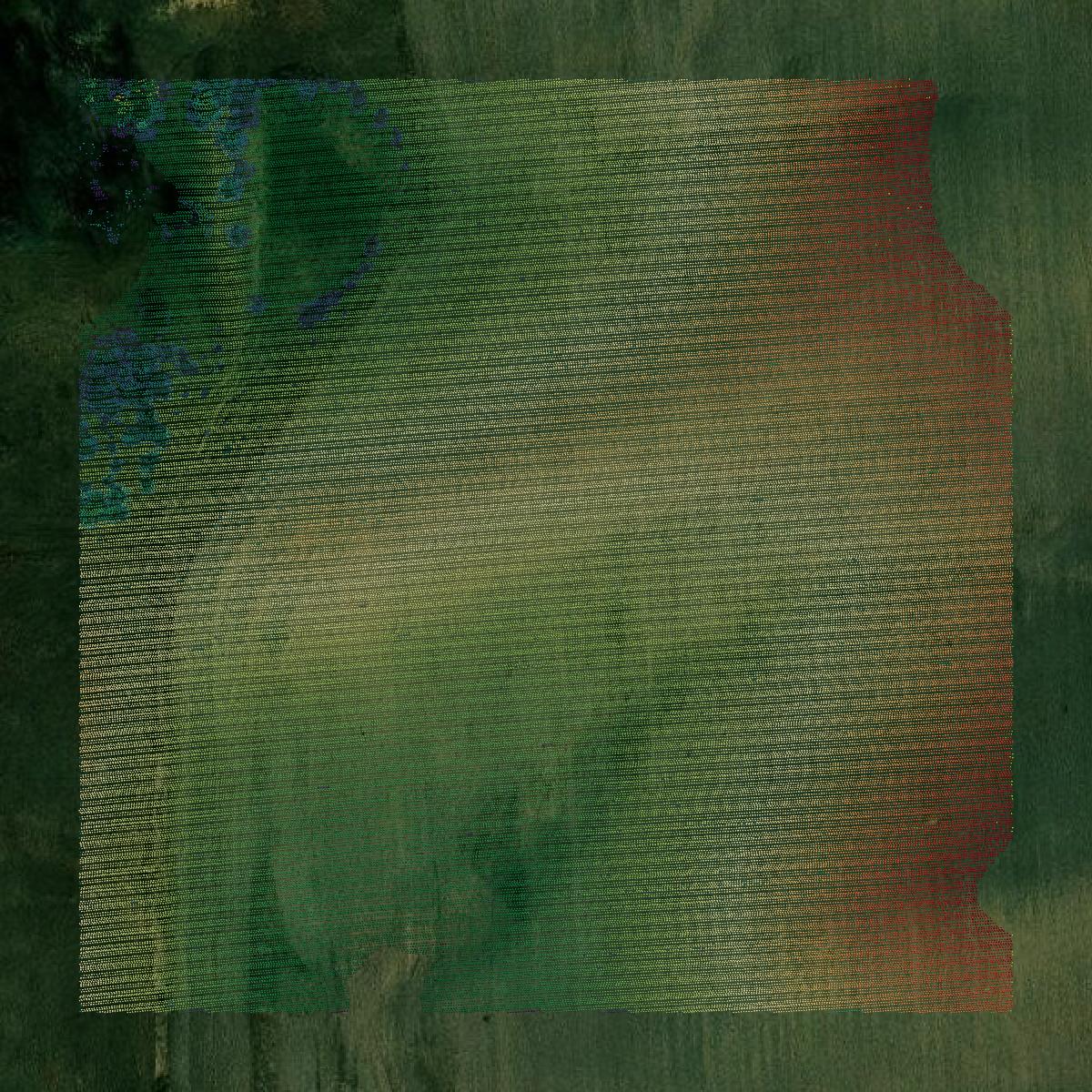 This image shows a LiDAR point cloud in Dixon County created using GIS data in Equator.