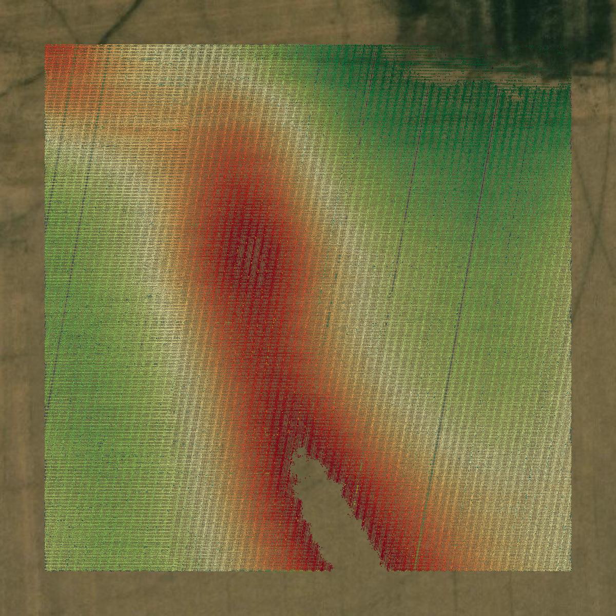 This image shows a LiDAR point cloud in Dodge County created using GIS data in Equator.