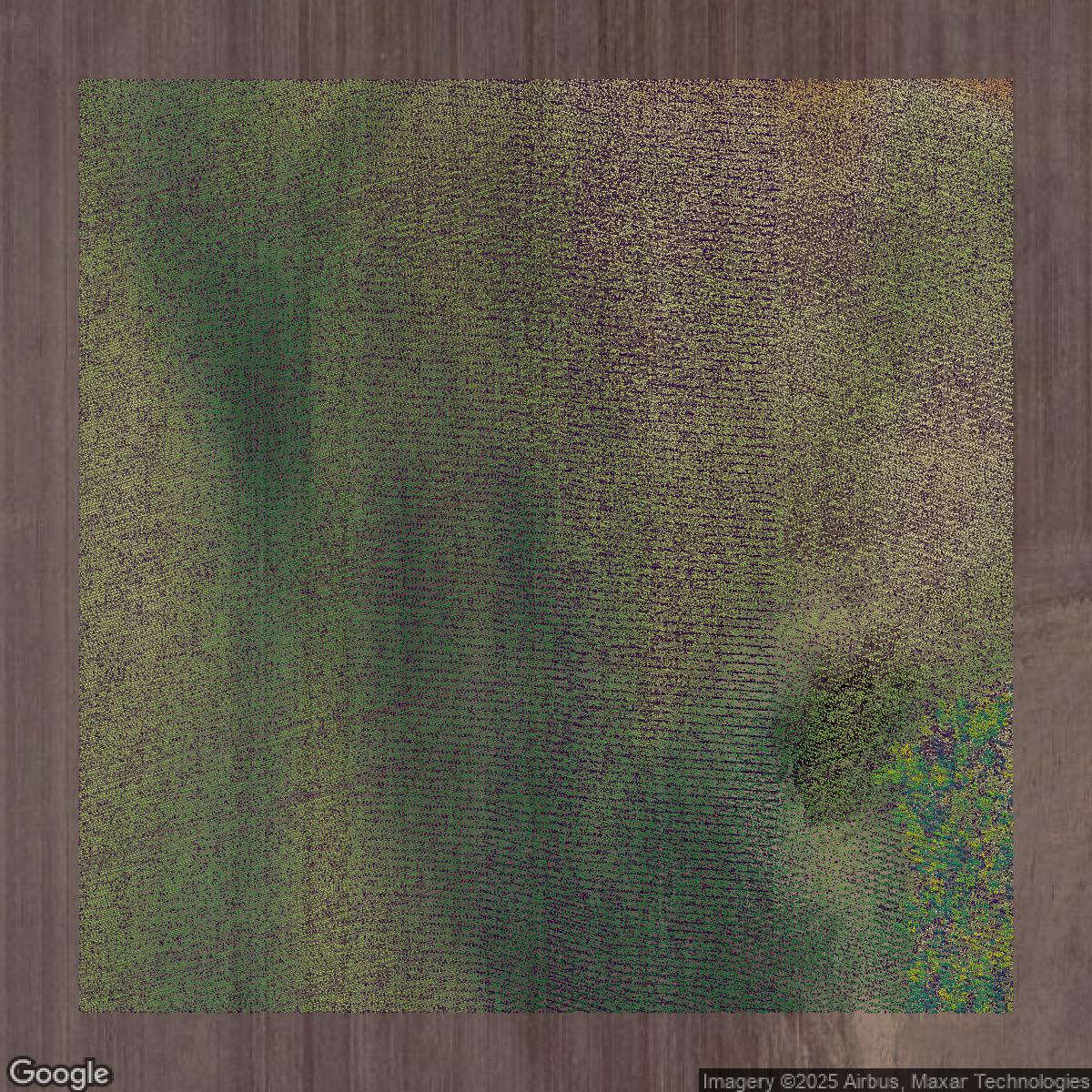 This image shows a LiDAR point cloud in Douglas County created using GIS data in Equator.