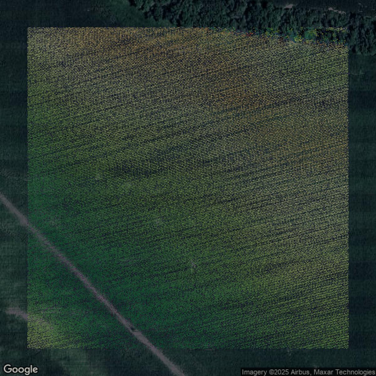 This image shows a LiDAR point cloud in Douglas County created using GIS data in Equator.