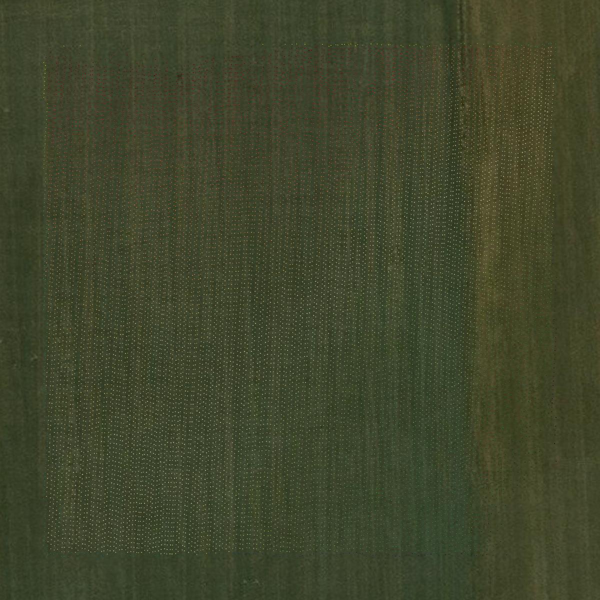 This image shows a LiDAR point cloud in Furnas County created using GIS data in Equator.